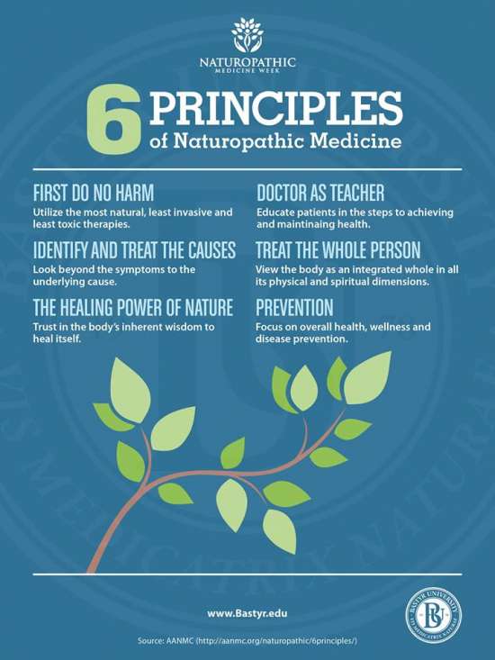 6 Principles Flyer