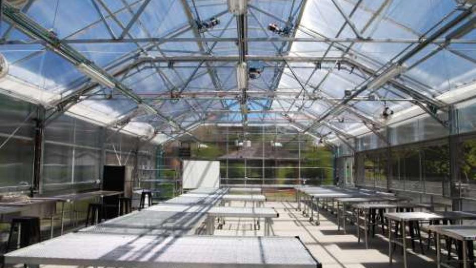 Bastyr Greenhouse, CHLD, BS Herbal Sciences
