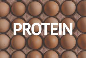 eggs in carton background "protein"