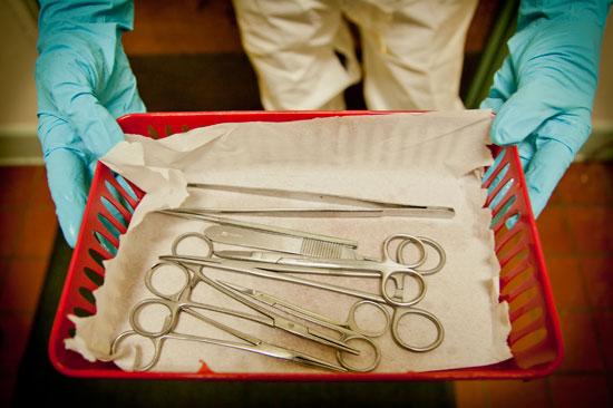 An Inside Look at Cadaver Lab