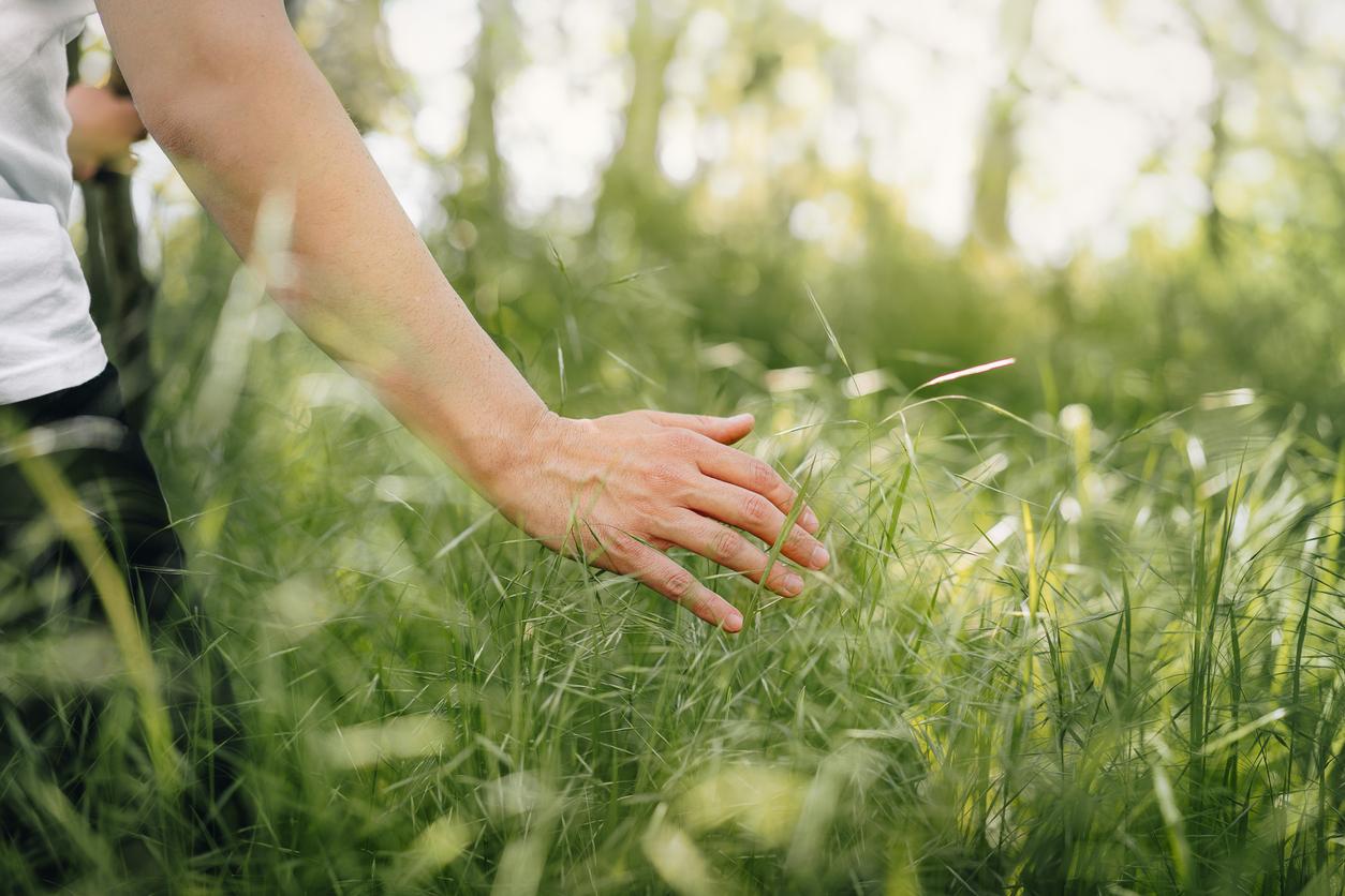 soft wellness