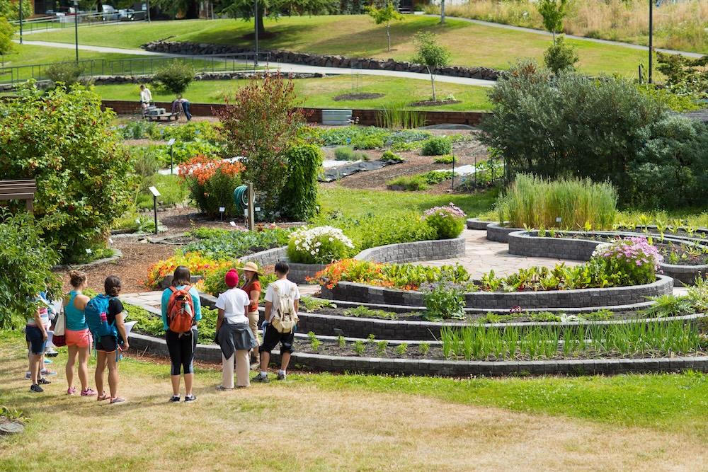 Bastyr University Gardens in Spring