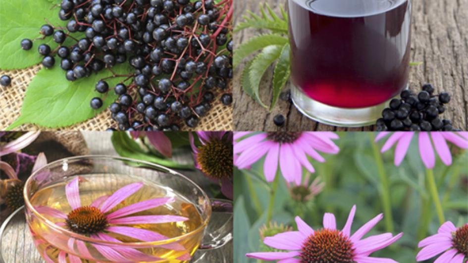 berries, flowers, and glass of teas