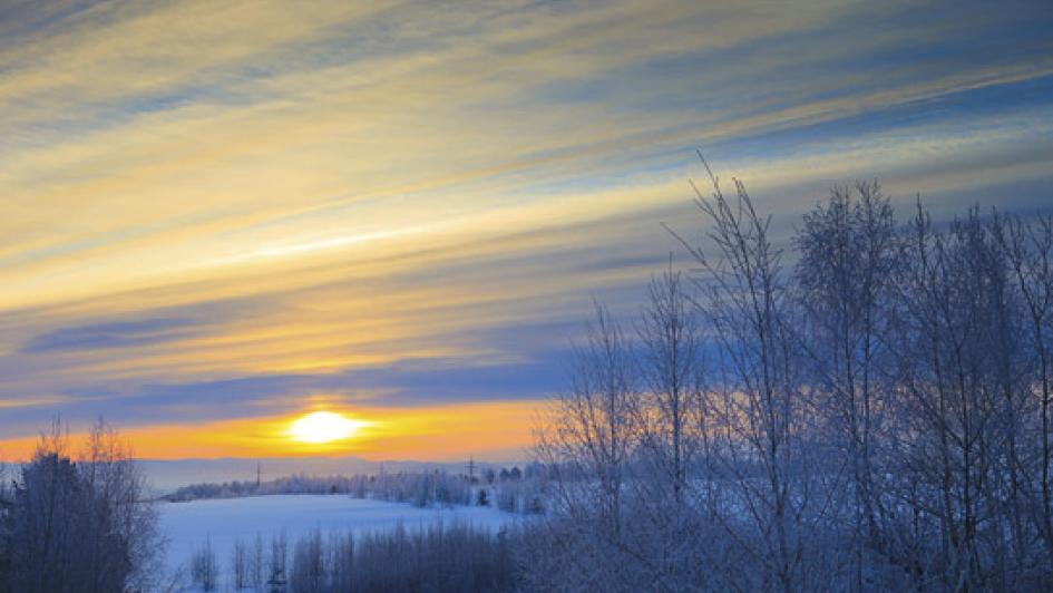 senset in winter on field with snow and trees