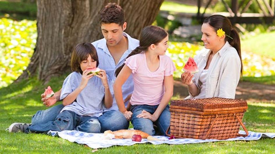 a family sitting on a blanket with a picnic basket