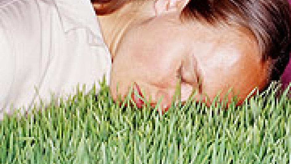 person laying in grass