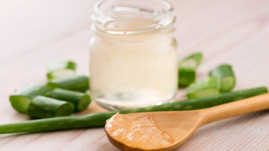 aloe vera plant with a jar of aloe vera