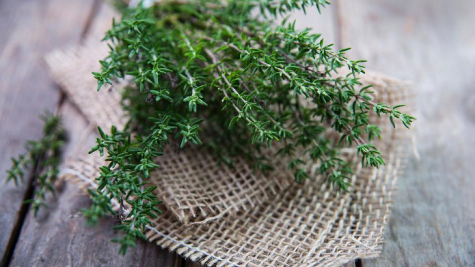 a bundle of thyme on a set of bamboo napkins