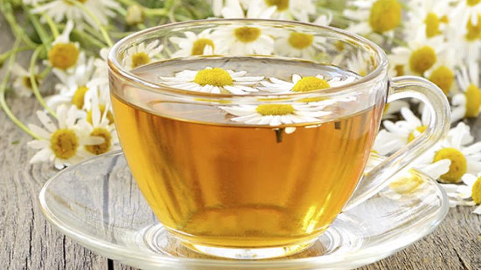 cup of chamomile tea surrounded by chamomile flowers