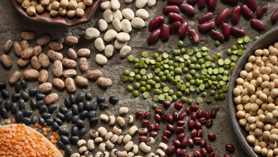 table covered in different varities of dry beans