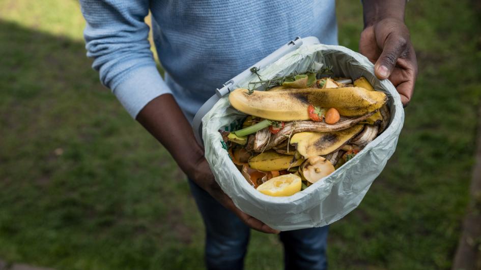 compost bin