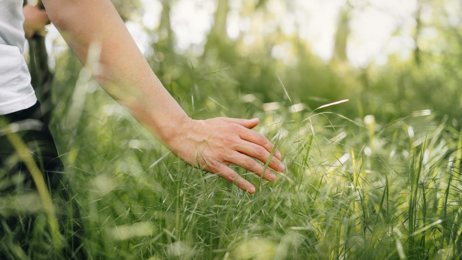 soft wellness
